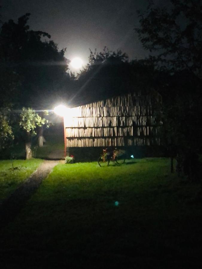 Villa Еко Дім З Соломи à Solochyn Extérieur photo