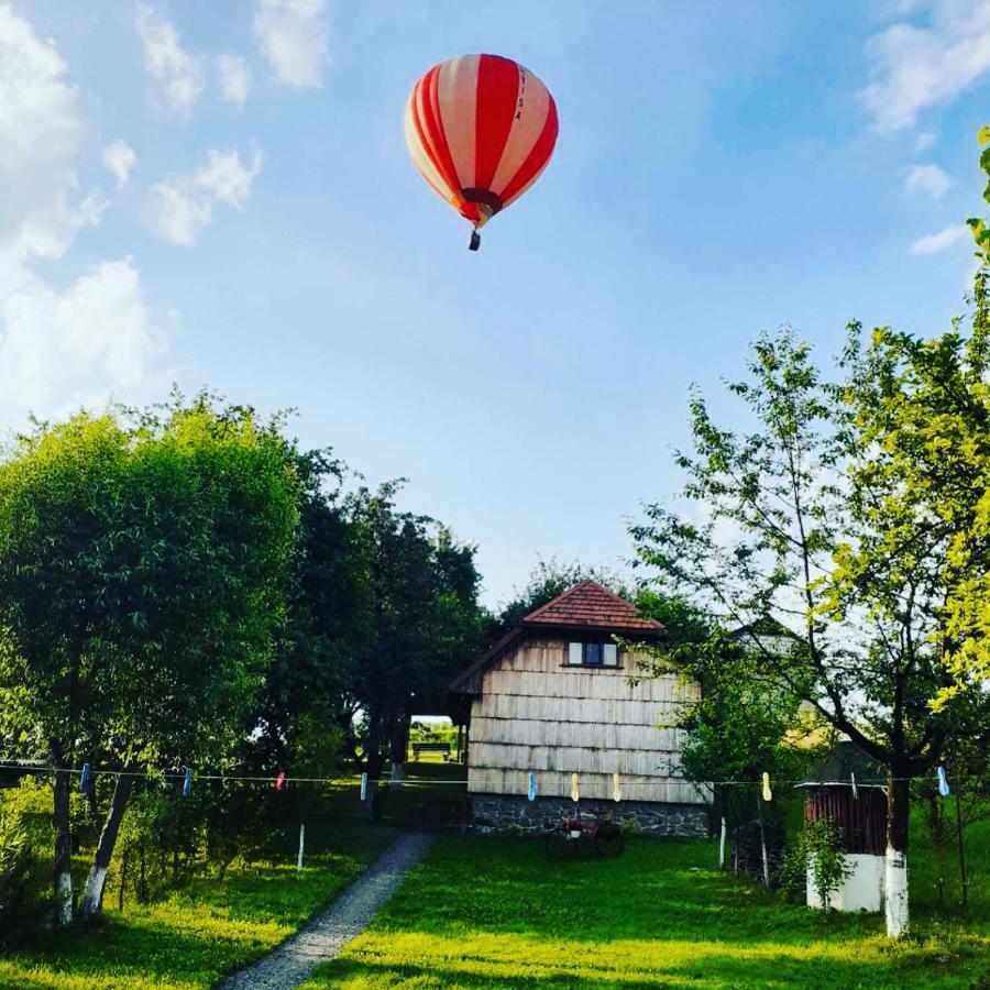 Villa Еко Дім З Соломи à Solochyn Extérieur photo
