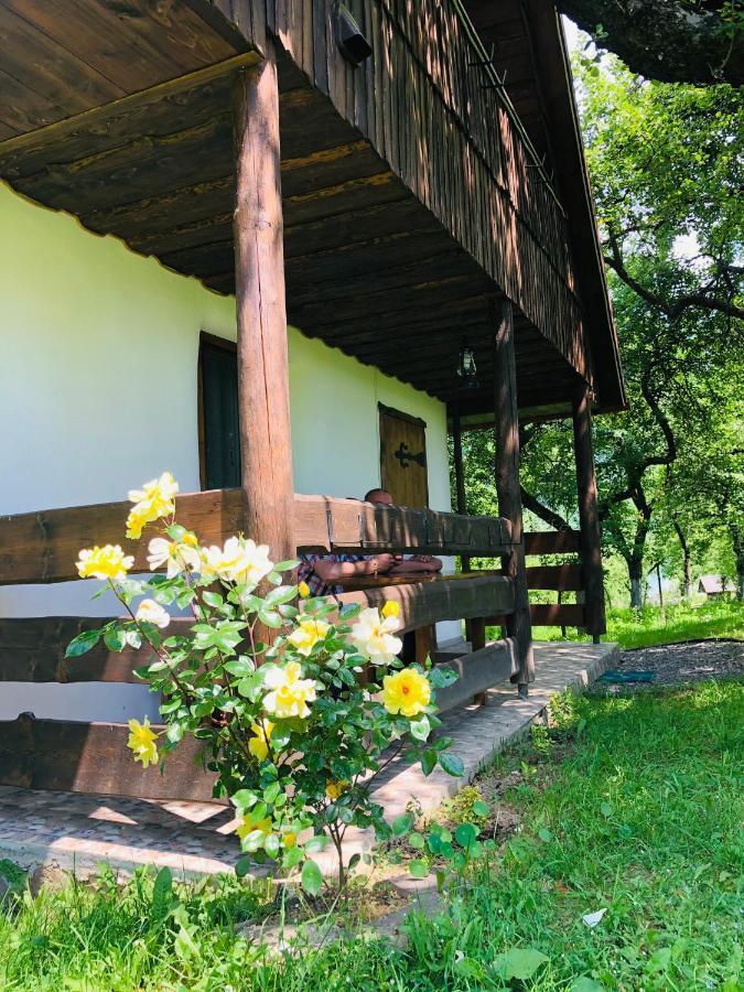 Villa Еко Дім З Соломи à Solochyn Extérieur photo