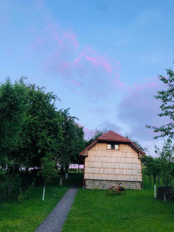 Villa Еко Дім З Соломи à Solochyn Extérieur photo