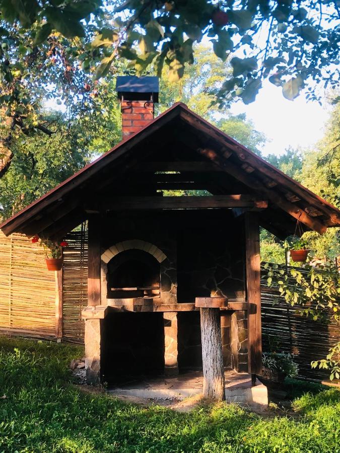 Villa Еко Дім З Соломи à Solochyn Extérieur photo