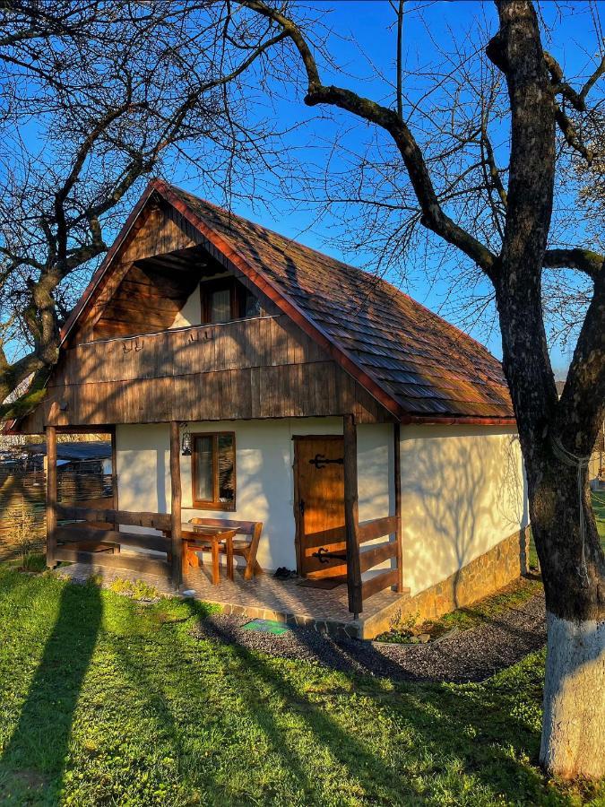 Villa Еко Дім З Соломи à Solochyn Extérieur photo
