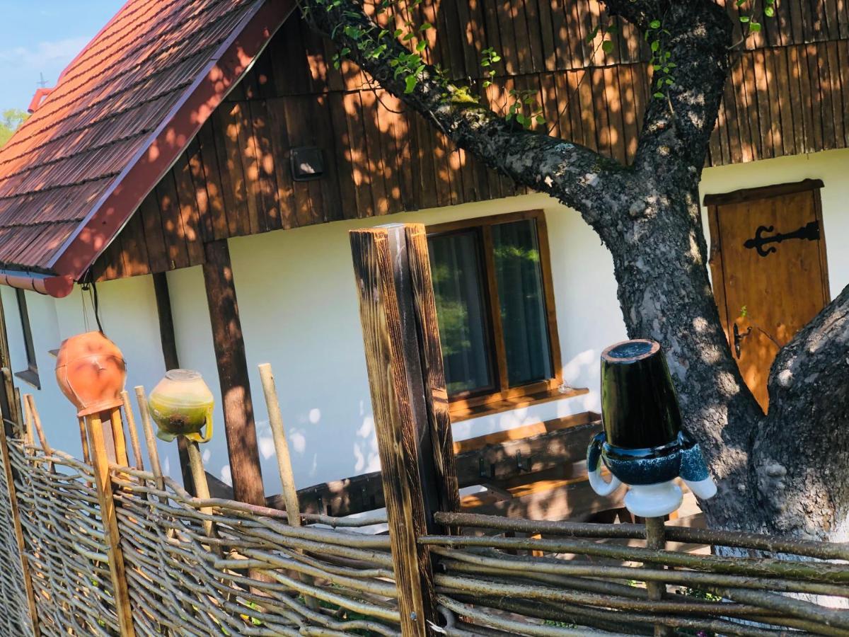 Villa Еко Дім З Соломи à Solochyn Extérieur photo