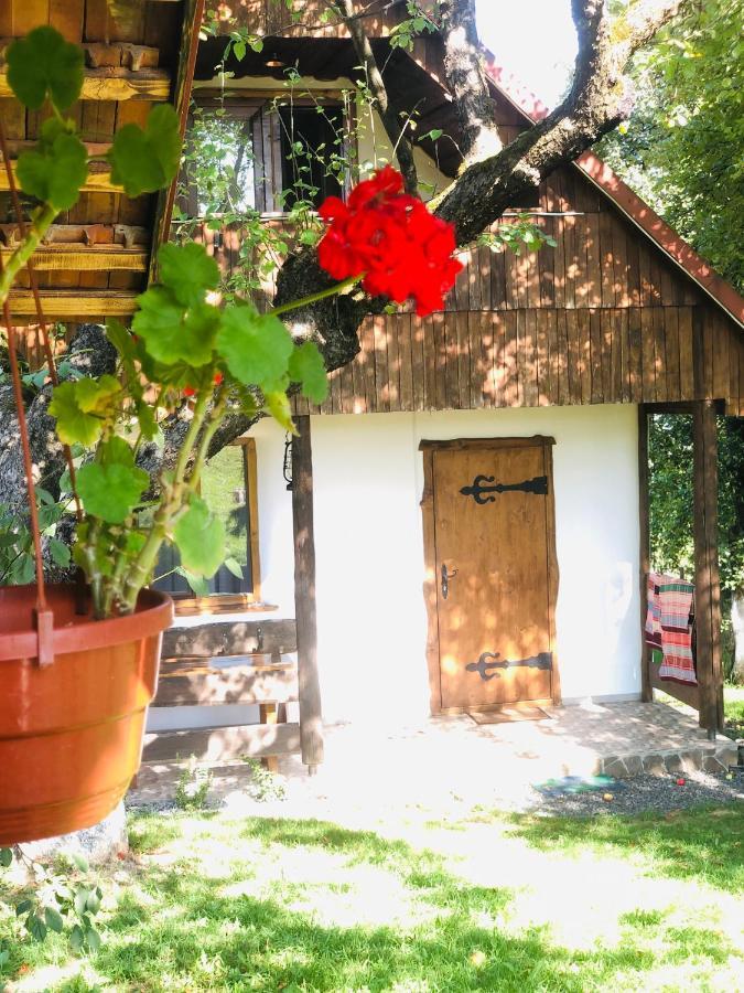 Villa Еко Дім З Соломи à Solochyn Extérieur photo