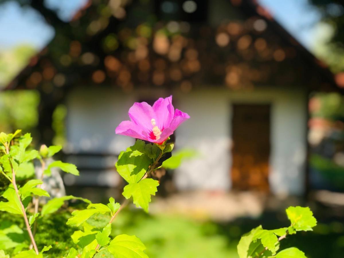 Villa Еко Дім З Соломи à Solochyn Extérieur photo