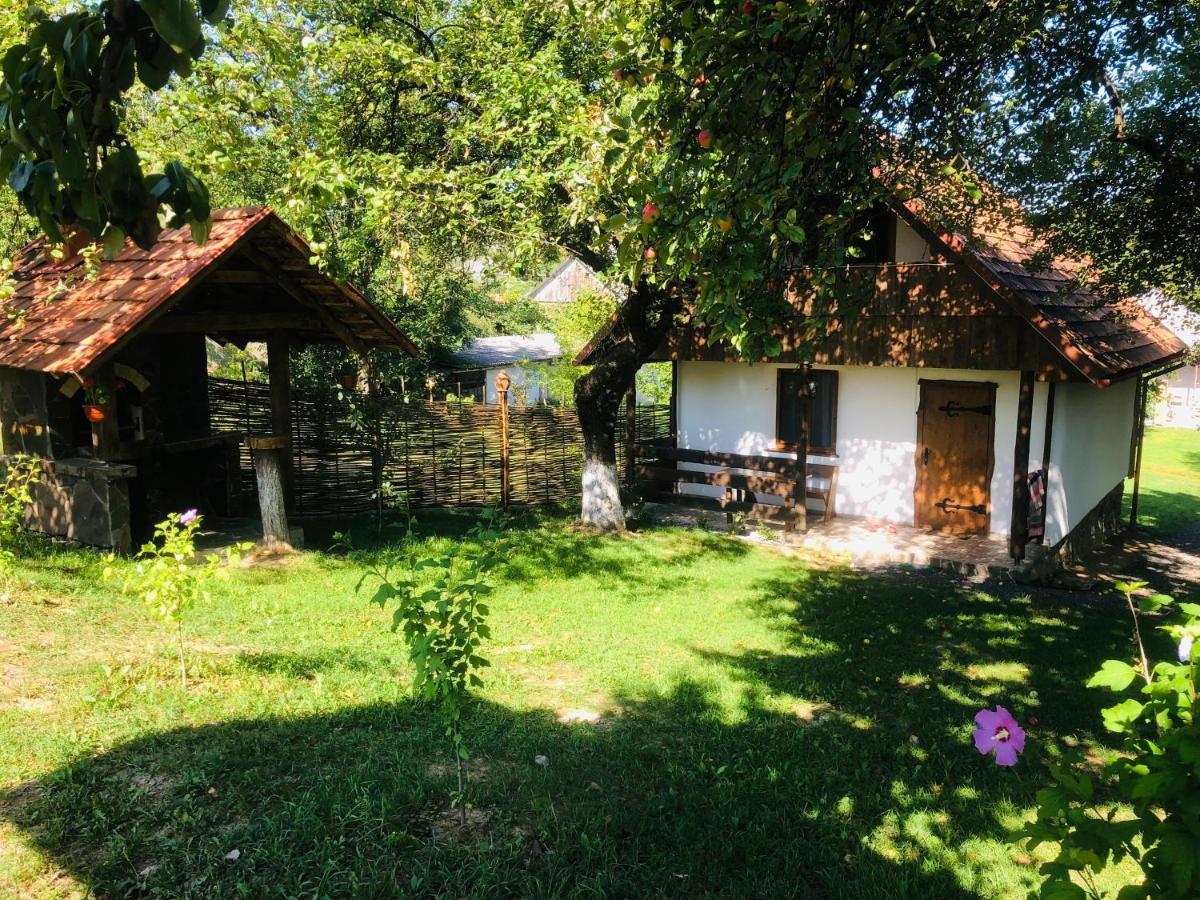 Villa Еко Дім З Соломи à Solochyn Extérieur photo