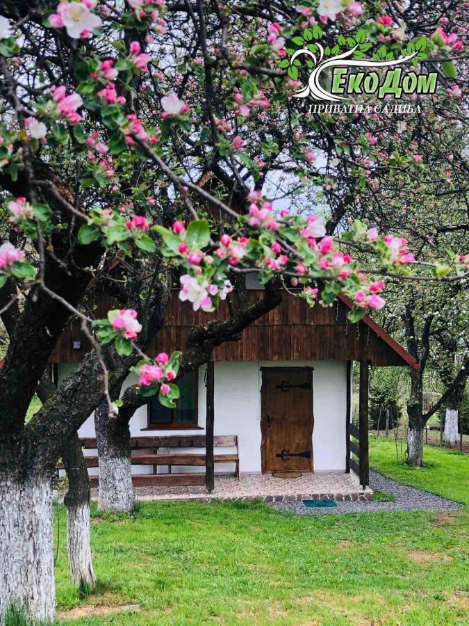 Villa Еко Дім З Соломи à Solochyn Extérieur photo
