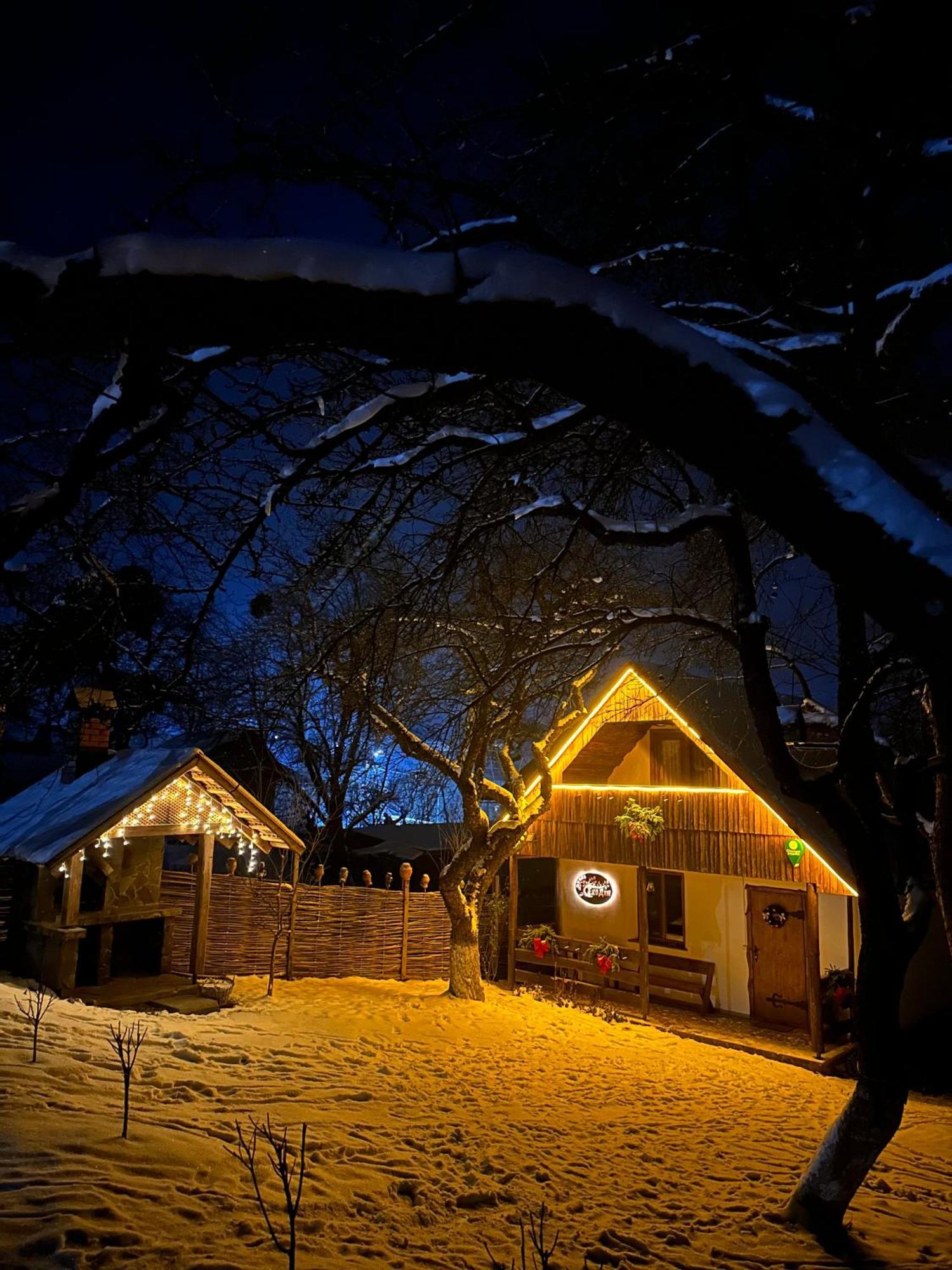 Villa Еко Дім З Соломи à Solochyn Extérieur photo