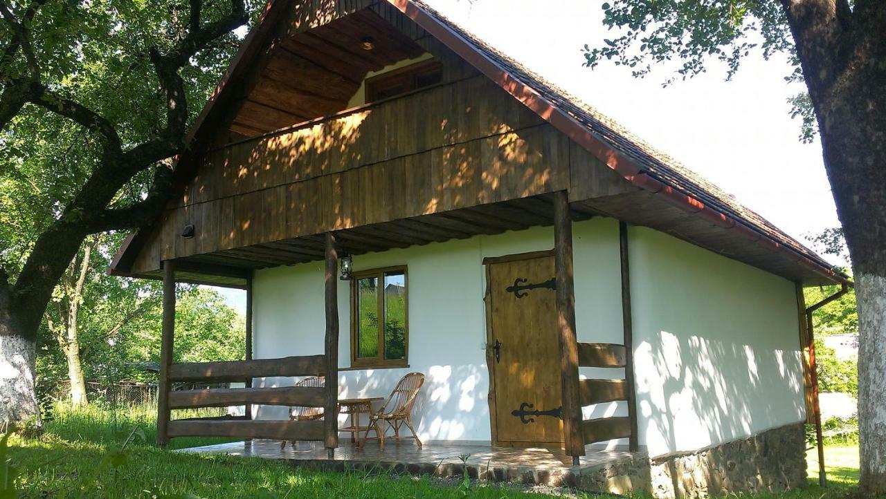 Villa Еко Дім З Соломи à Solochyn Extérieur photo