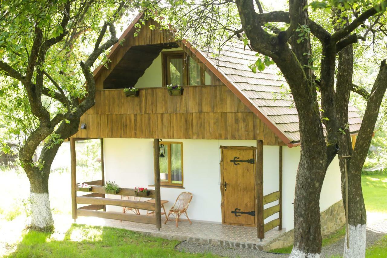 Villa Еко Дім З Соломи à Solochyn Extérieur photo