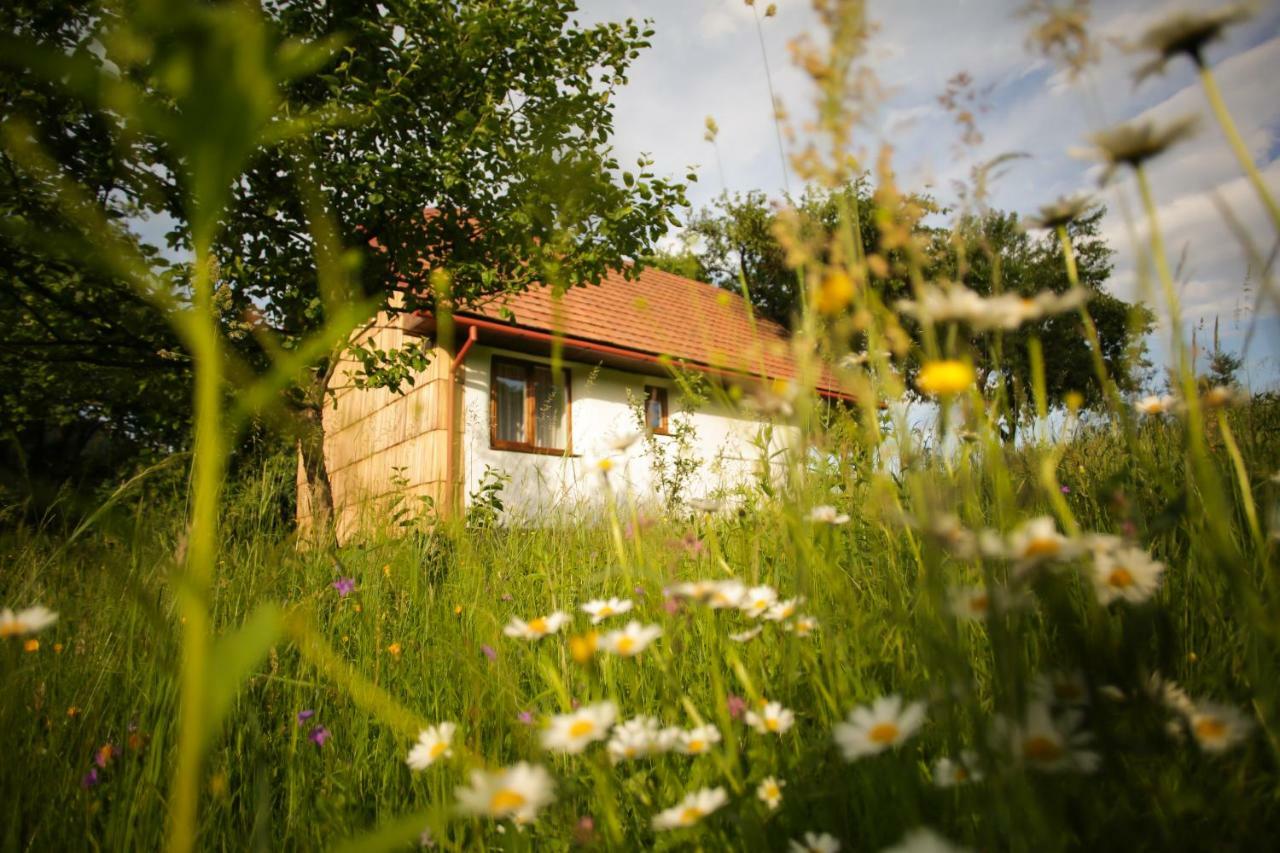 Villa Еко Дім З Соломи à Solochyn Extérieur photo