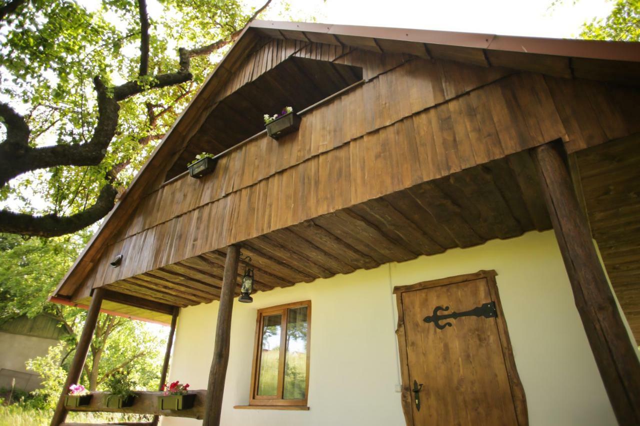 Villa Еко Дім З Соломи à Solochyn Extérieur photo