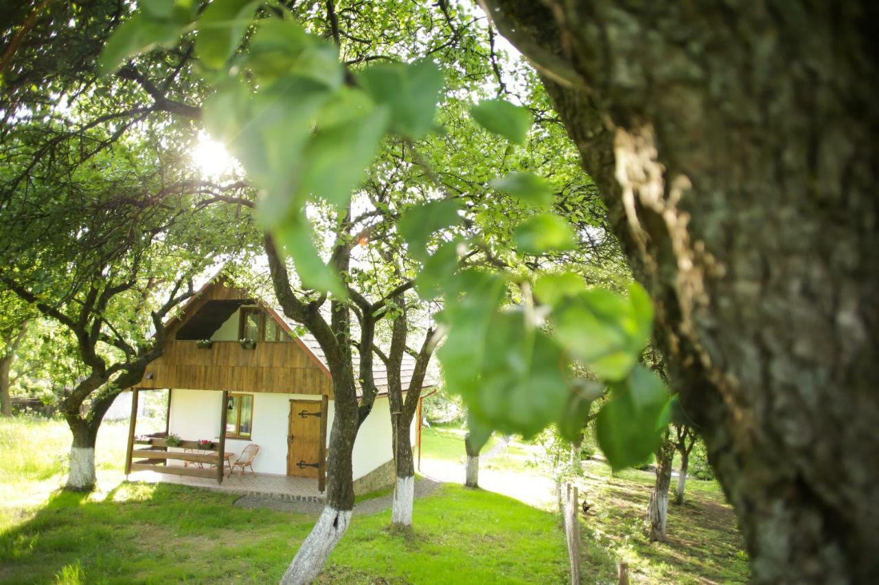 Villa Еко Дім З Соломи à Solochyn Extérieur photo