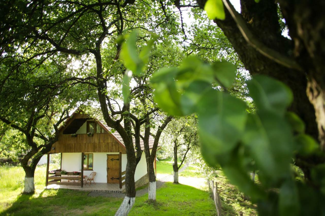 Villa Еко Дім З Соломи à Solochyn Extérieur photo