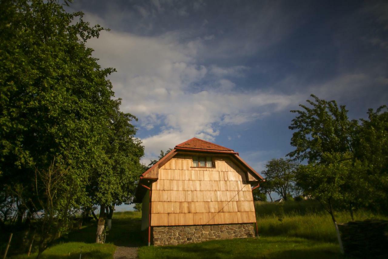 Villa Еко Дім З Соломи à Solochyn Extérieur photo