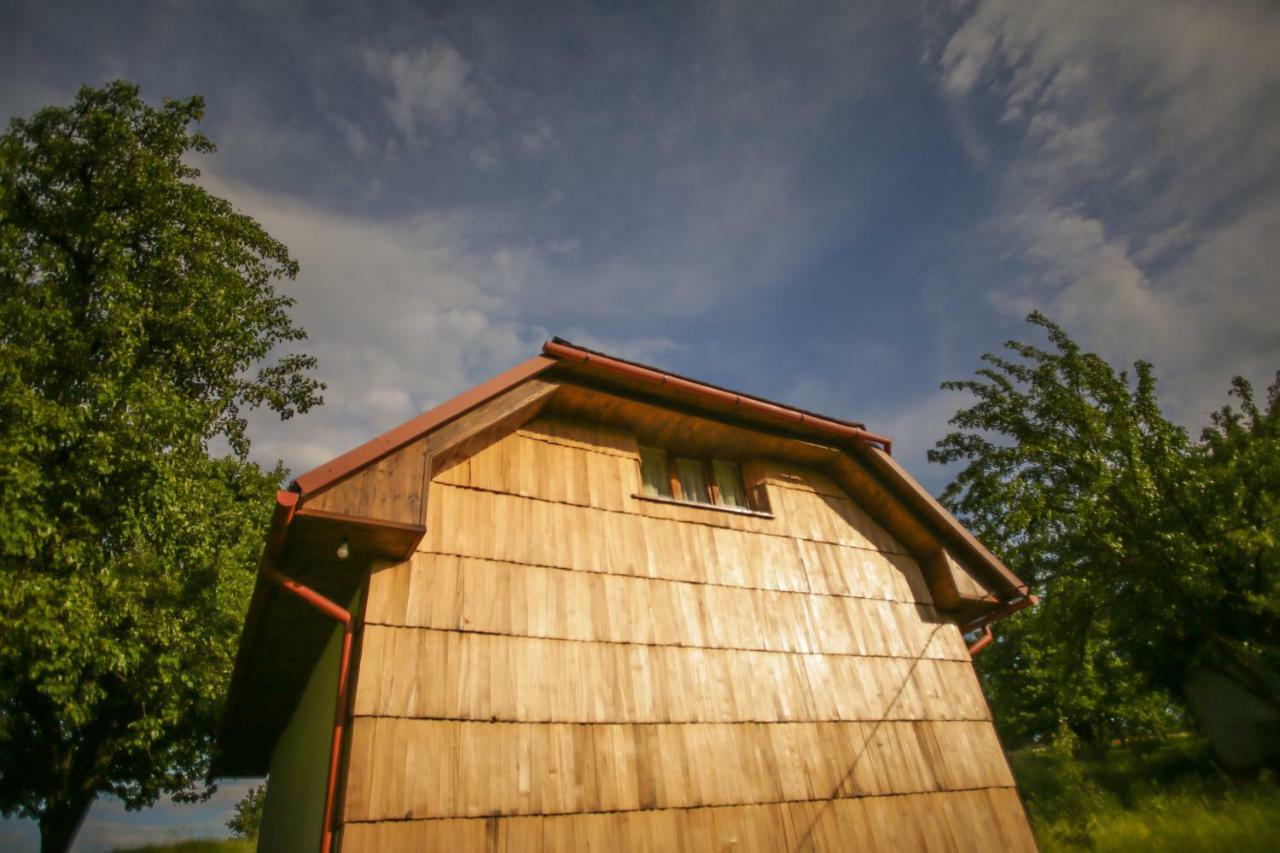Villa Еко Дім З Соломи à Solochyn Extérieur photo