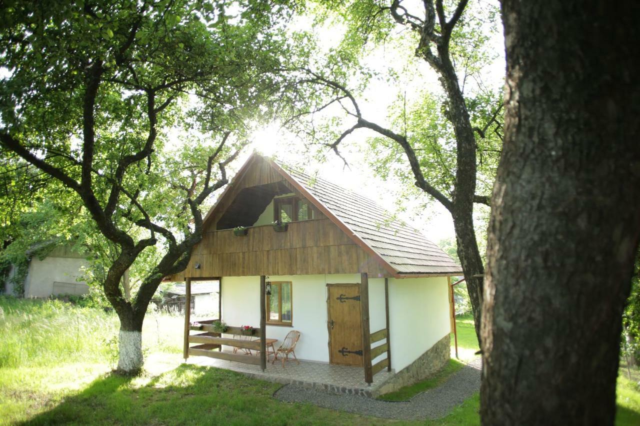 Villa Еко Дім З Соломи à Solochyn Extérieur photo